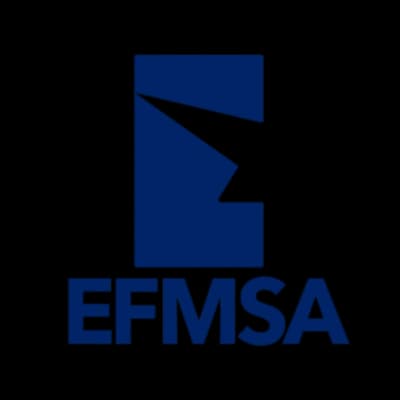 RMIT EFMSA